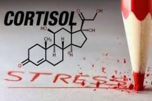 Кортизол