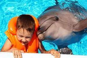 Дельфинотерапия
