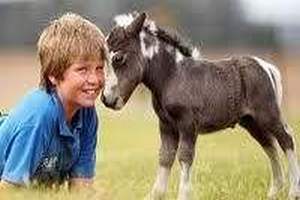 Лечение задержки психоречевого развития