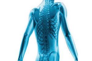 Укрепление костной системы