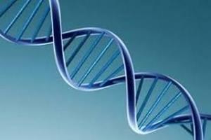 Наследственная атаксия