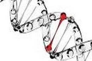 Спинальная мышечная амиотрофия