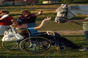 Иппотерапия и конный спорт для инвалидов