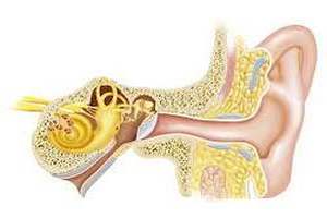 Нарушения вестибулярного аппарата